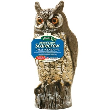 Dalen Dalen Products Incorporated DALOW6 Dalen 16 in. Molded Owl Painted DALOW6